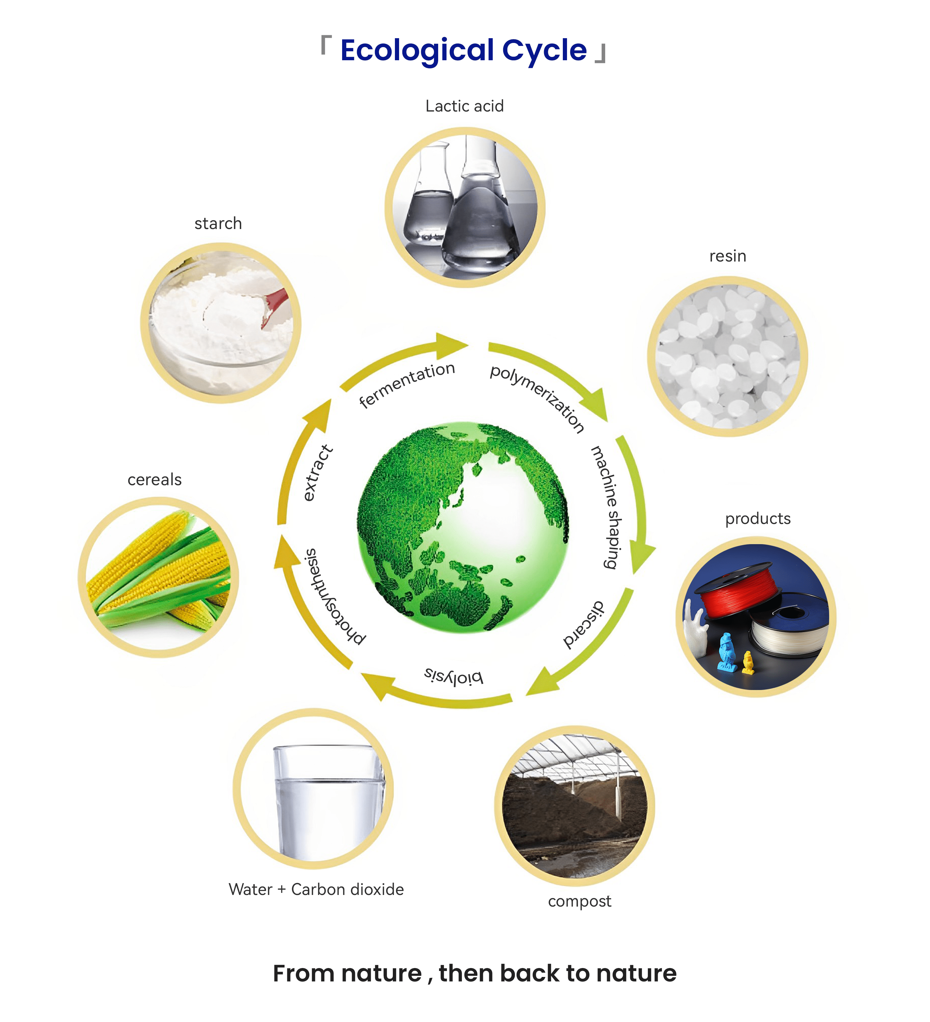 Hiplastics 100% biodegradable products in supermarket